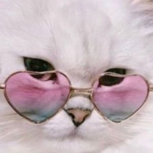 Meet your Posher, Penelope